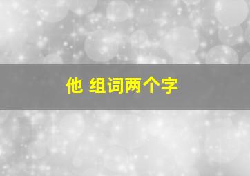 他 组词两个字